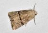 240900 – Photo : Michel Mathieu – France (14)