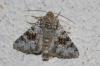 240460 – Photo : alain Roujas – France (31)