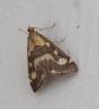 240700 – Photo : Daniel Philippe – France (47)