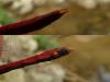 240479 – Photo : Y. Charbonnier/M. Sannier – Chine