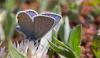 240869 – Photo : Nicolas Helitas – Grèce