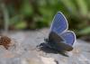 240870 – Photo : Nicolas Helitas – Grèce