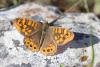 240004 – Photo : Nicolas Helitas – Italie