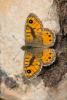 240005 – Photo : Nicolas Helitas – Italie
