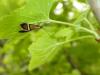 241649 – Photo : Andre Astric – France (68)
