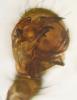 241212 – Photo : Luc Gizart – France (08)