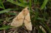 241705 – Photo : Fabricius – France (13)
