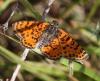 241203 – Photo : alain Roujas – France (31)
