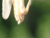 241594 – Photo : Nicolas Crouzet – France (13)