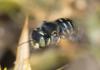 241018 – Photo : Roland Seitre – France (20)