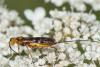 242234 – Photo : Bernard Saquet – France (12)