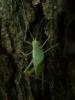 242861 – Photo : Bobabar – France (95)