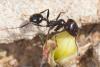 242850 – Photo : Jessica Joachim – Espagne