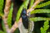 243441 – Photo : Pierre Duhem – France (91)
