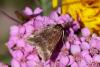 243761 – Photo : Pierre Duhem – France (73)