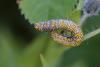 243513 – Photo : Pierre Duhem – France (73)