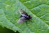 243386 – Photo : Pierre Duhem – France (73)