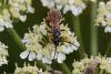 243576 – Photo : Pierre Duhem – France (73)
