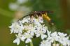 243727 – Photo : Pierre Duhem – France (73)