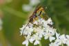 243728 – Photo : Pierre Duhem – France (73)