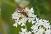 243729 – Photo : Pierre Duhem – France (73)
