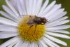 243977 – Photo : Pierre Duhem – France (73)