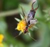 243950 – Photo : Jean-Michel GAREL – France (89)