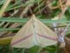 243971 – Photo : Bobabar – France (22)
