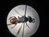 243279 – Photo : Erwann Marhic – France (20)