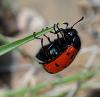 244284 – Photo : roy – Espagne