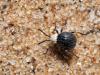 244798 – Photo : Lionel Casset – Namibie