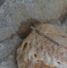 244693 – Photo : Christian Berquer – France (05)