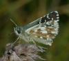 244634 – Photo : Yoann Pelouard – France (06)
