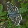 244747 – Photo : Yoann Pelouard – France (06)