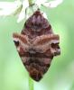 244550 – Photo : alain Roujas – France (31)