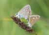244028 – Photo : alain Roujas – France (31)