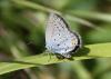 244593 – Photo : alain Roujas – France (31)