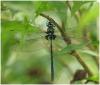 244438 – Photo : Benoit Guillon – Panama