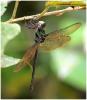 244437 – Photo : Benoit Guillon – Panama