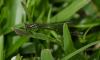 244280 – Photo : ojbr – Madagascar