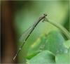 244352 – Photo : Benoit Guillon – Vietnam