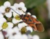 245788 – Photo : Bernard Ginesy – France (13)