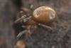 245264 – Photo : Christian Berquer – France (05)