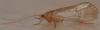245400 – Photo : Christian Berquer – France (05)