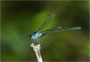 245640 – Photo : Benoit Guillon – Vietnam