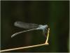 245641 – Photo : Benoit Guillon – Vietnam