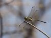 245311 – Photo : Lionel Casset – Namibie