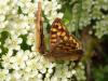 246632 – Photo : Catherine Reymonet-Smitten – France (31)