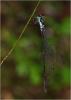246412 – Photo : Benoit Guillon – Vietnam