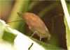 246628 – Photo : Benoit Guillon – Panama